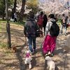 2019年春　宮島の旅④ 番外編〜大阪・京都〜