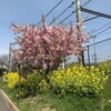 ローカル線の駅・上狛