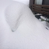 また雪