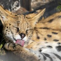 写真＆カメラ＆旅