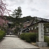 桜の長谷寺