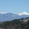 埴原城桜便り　其の四　2019/04/20