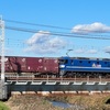 1093レ 鹿島貨物(EF210-150) 【スマホ動画】