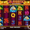 96.5% RTP Delight: 5 Rabbits Megaways Slot Machine