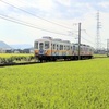 琴電沿線で稲刈りの前の田園風景