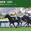 【11/10 (日) ハルの競馬予想 〜福島記念 (G3) 〜】