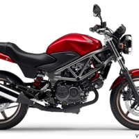 女だけどバイクに乗りたい 普通二輪免許を取得する前に知っておきたいこと まとめ The Cat S Pajamas