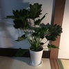7月28日のdiary