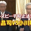 【考察】いわゆる『ヘイトスピーチ解消法』は日本国民の人権保護も対象としているというのは本当か！？