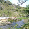 牧野植物園（高知県）