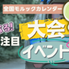 【2025年9月】月イチ！注目のモルック大会・イベントまとめ。広島大会、ハチノス、信玄カップ、金沢城OP、京都市長杯など