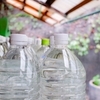 植物好きさんがメルカリで販売した苗、ペットボトルで送られてきた