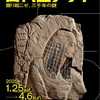 🙋‍♂️《古代エジプト》の神秘に触れた日