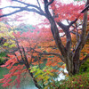 期待はずれの天気