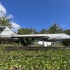 京山登山（F-104J）