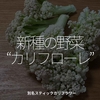 2635食目「新種の野菜“カリフローレ”」別名スティックカリフラワー