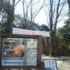 六義園　の　　桜情報