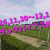 2024,11,30～12,1 トラックバイアス結果 (中山競馬場　京都競馬場　中京競馬場)