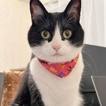 5月色々