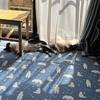 和室でくつろぐ猫ちゃん姉妹🐱😽