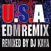 DA PUMP/U.S.A. (EDM Remix) [Remixed by DJ KAYA]