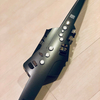 楽器はじめました！エアロフォンの魅力を伝えたい！！【Aerophone AE-10】