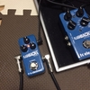 tc electronic Flashback mini Delay