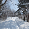 雪の里山　坂戸山