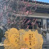 放射線