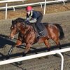 １６日の検疫で栗東・西園正厩舎へ帰厩しています。☆ロコポルティ