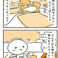 【犬漫画】うちの子記念日の前祝いに川床ランチ【貴船神社】1/2