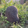 愛宕塚古墳  川島町三保谷宿
