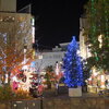 小田原駅東口周辺　　クリスマスイルミネーション