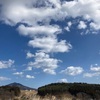 3.10　医者になる！