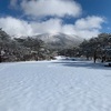 雪、ビットコインが落ちてる