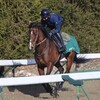 出走ラッシュの締め括り、勝利で飾りたい！