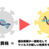 とりあえず花を見よう！！