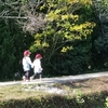 保育園いらいの芋掘り(σ*´∀｀)