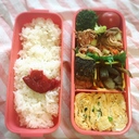 マアトの母作、お弁当