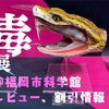 福岡市科学館の毒展感想、割引情報