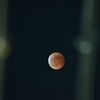 月食