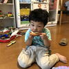うたちゃん日記♪2019/7/2♪日ごと、チョコと宝石