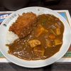10/3昼食・CoCo壱番屋（相模原市中央区）