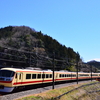 西武秩父線の電車と桜のコラボを撮りに行ったのですが