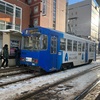 赤レンガ倉庫を観て、市電で湯の川に帰りました。主人は途中下車で…