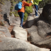 今日も登山