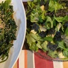 野菜が高い今、買えるものでいろいろ美味しく楽しんでいます