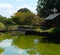里中池（奈良県大和郡山）
