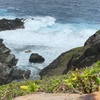 沖縄－石垣－与那国の旅　石垣島２日目その２