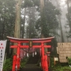 羽黒山でカブトムシ